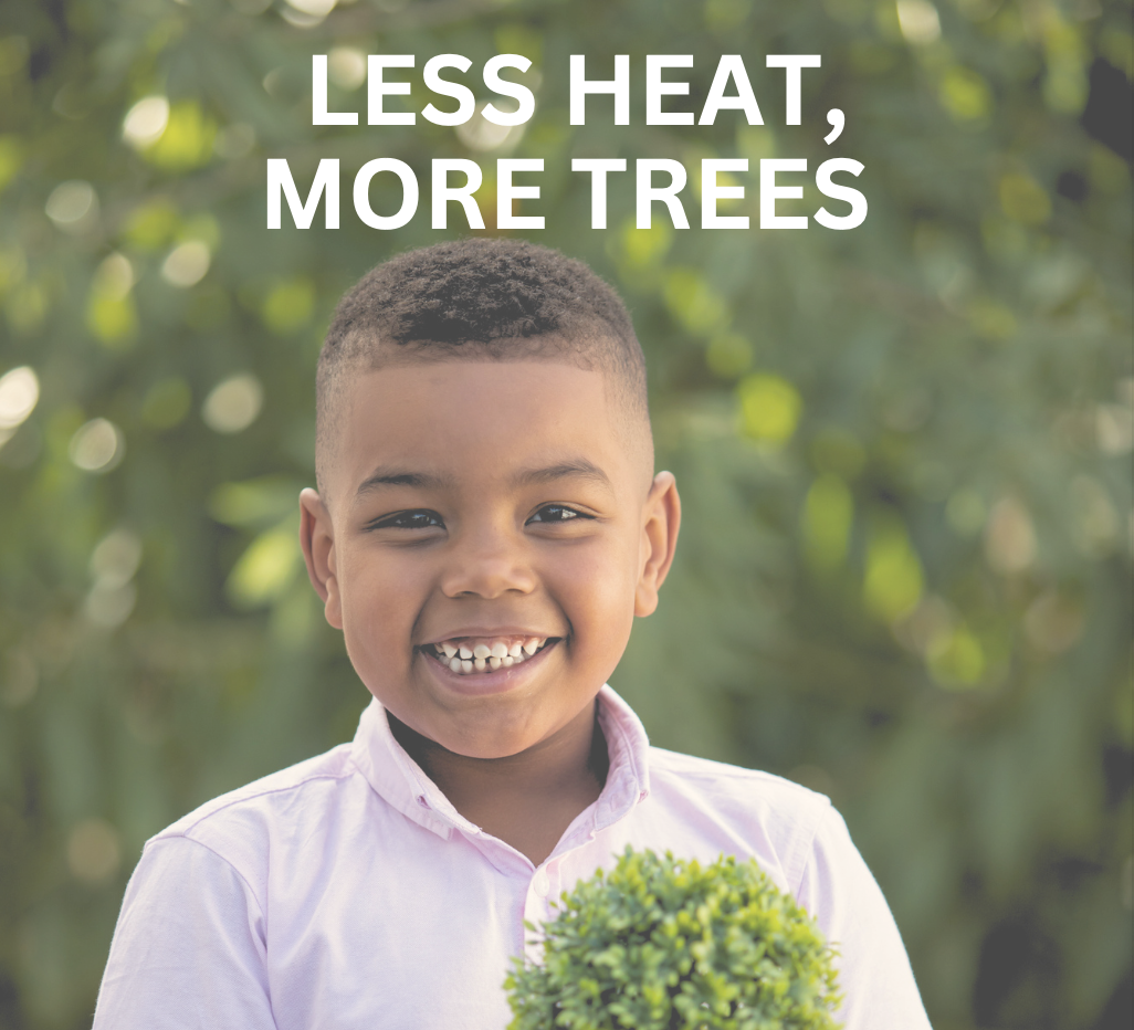 Historic Northwood Hills Neighborhood Tree Plan Historic Northwood Hills